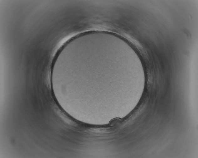 X0000113241272200910221053