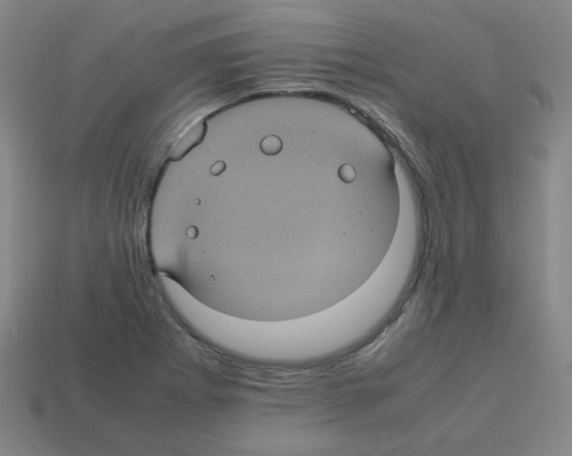 X0000113241273200910221053