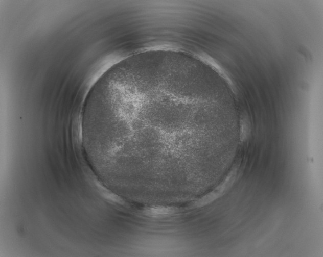 X0000113241274200910221053