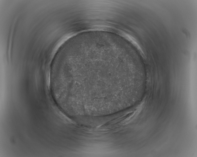 X0000113241275200910221053