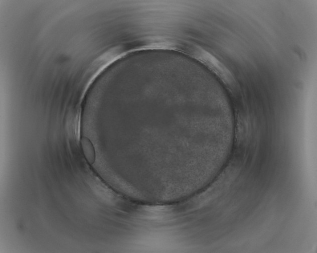 X0000113241276200910221053