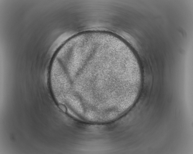 X0000113241277200910221053