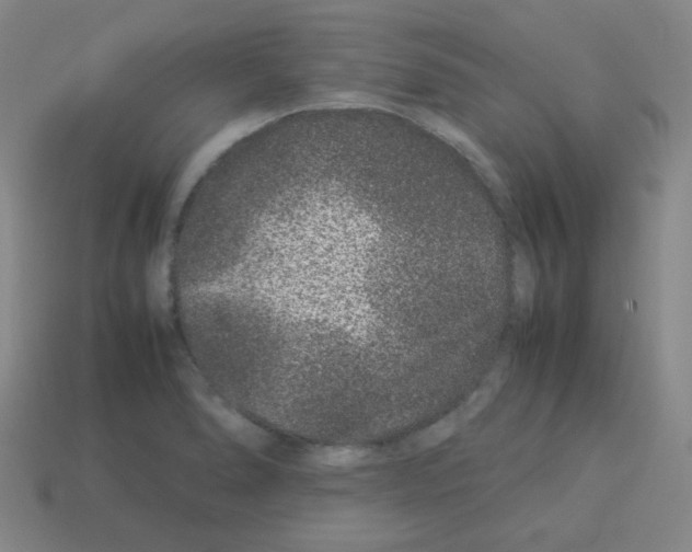 X0000113241278200910221053