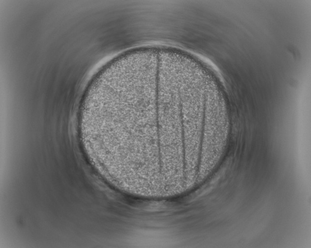 X0000113241279200910221053