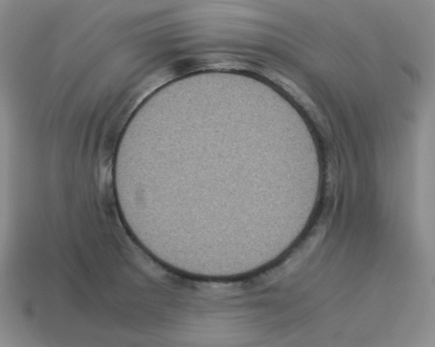 X0000113241281200910221053