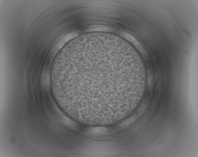 X0000113241282200910221053