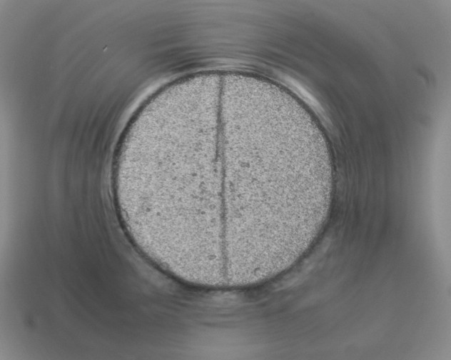 X0000113241283200910221053