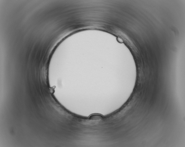 X0000113241284200910221053