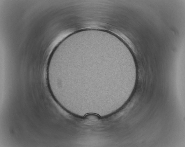 X0000113241285200910221052