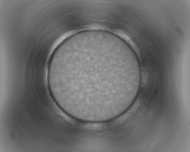 X0000113241286200910221052