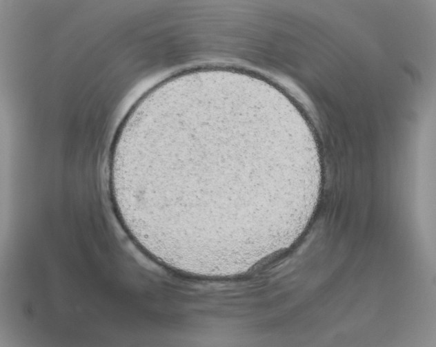 X0000113241287200910221052