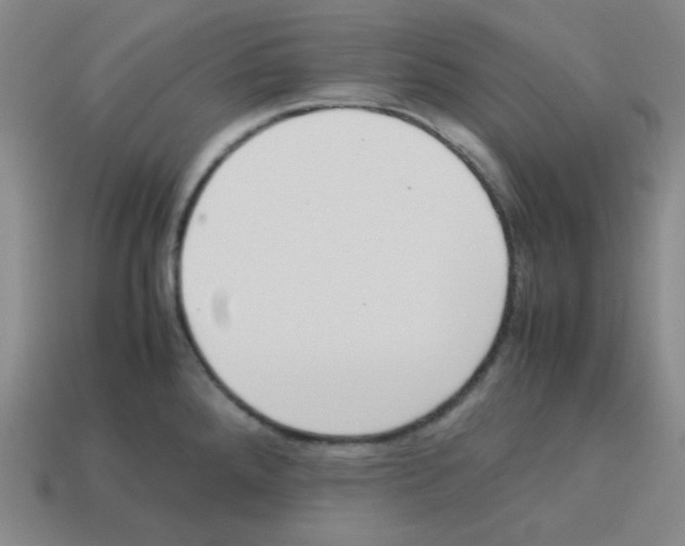 X0000113241288200910221052