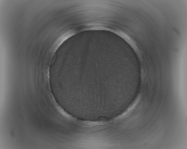 X0000113241289200910221052