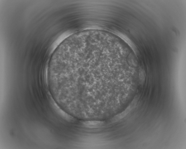 X0000113241290200910221052