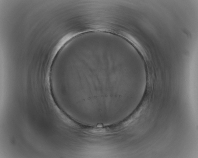X0000113241291200910221052