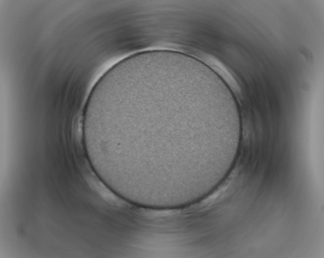 X0000113241292200910221052