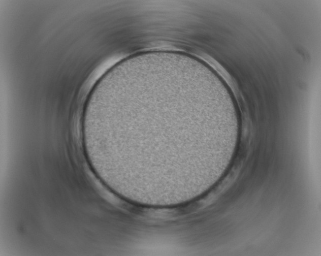 X0000113241293200910221052