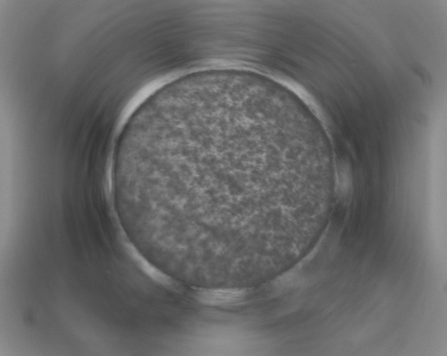 X0000113241294200910221052