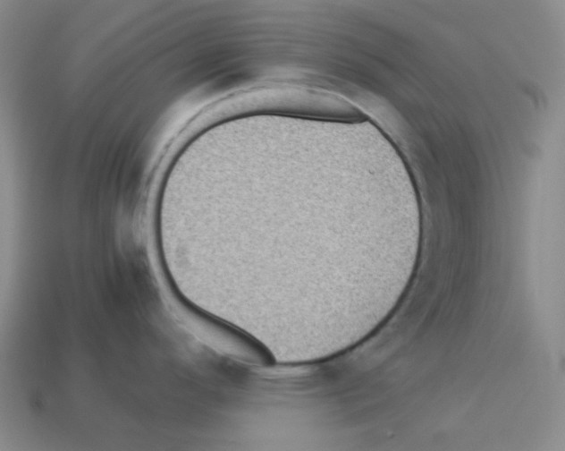 X0000113241296200910221052
