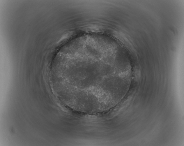 X0000113241297200910221051