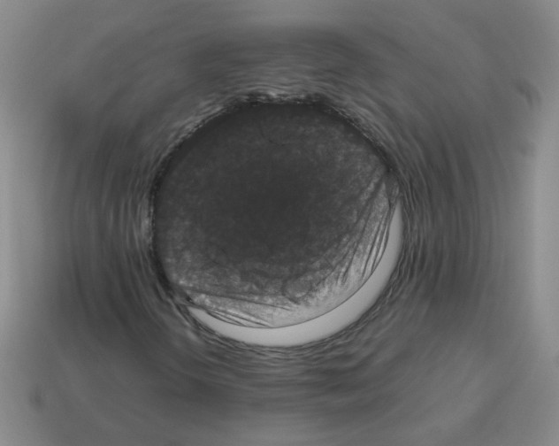X0000113241298200910221051