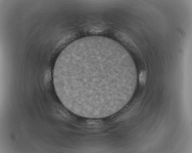 X0000113241299200910221051