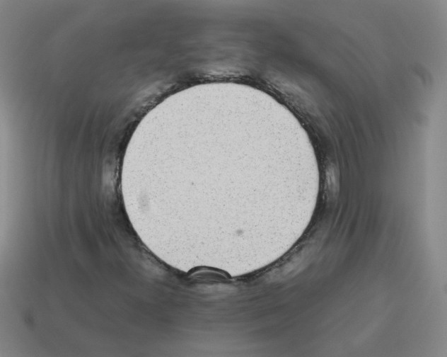 X0000113241300200910221051