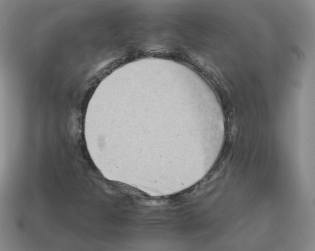 X0000113241301200910221051