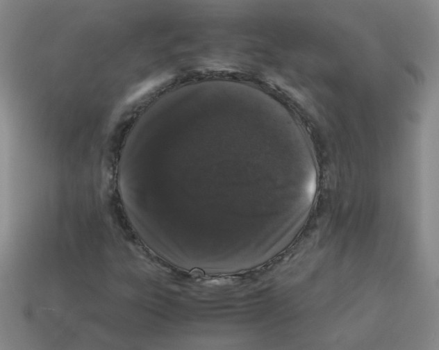 X0000113241303200910221052