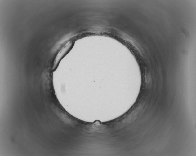 X0000113241304200910221052