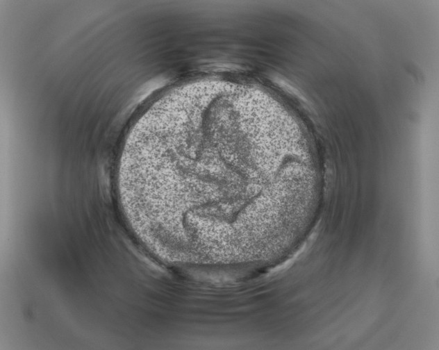X0000113241305200910221052