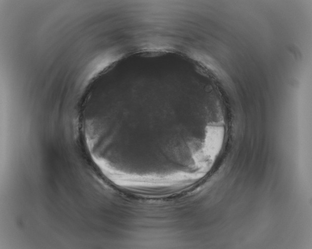 X0000113241306200910221052