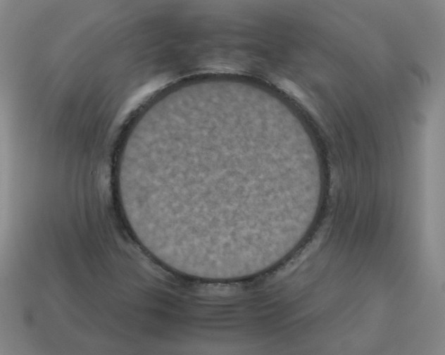 X0000113241307200910221052