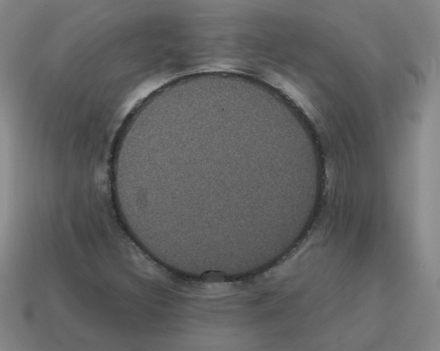 X0000113241308200910221052