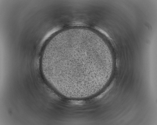 X0000113241309200910221052