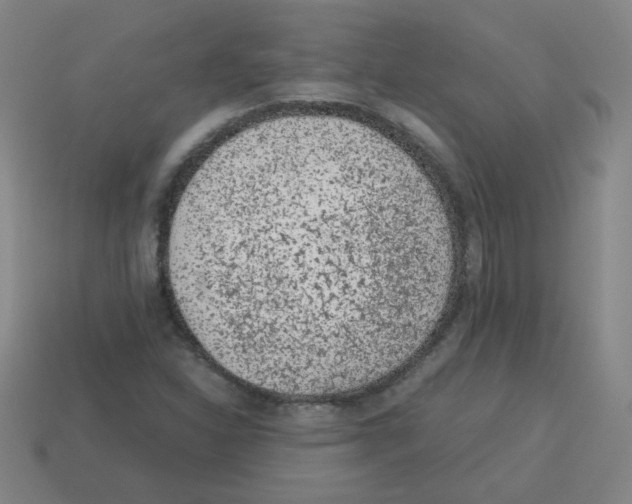 X0000113241310200910221052