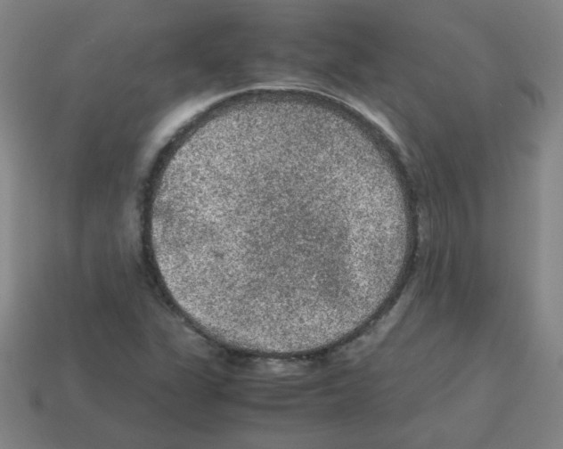 X0000113241311200910221052