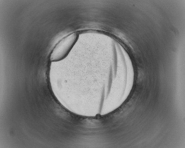 X0000113241312200910221052