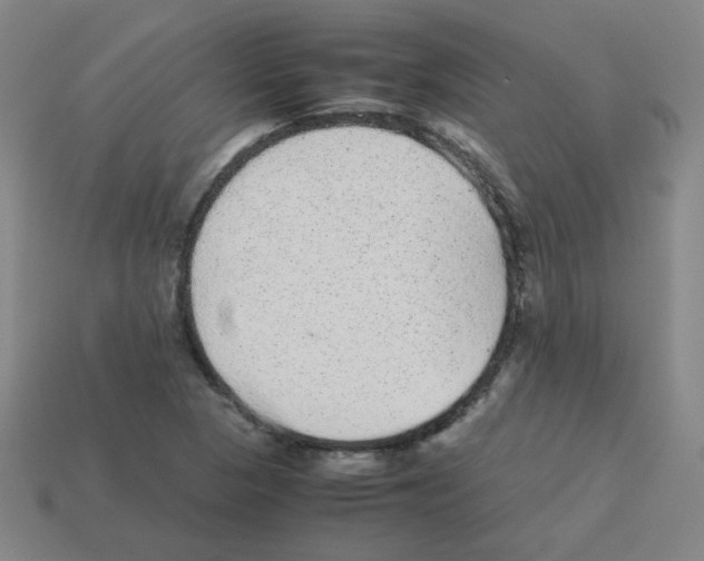 X0000113241313200910221052