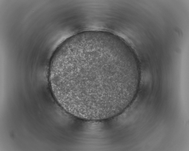 X0000113241314200910221052