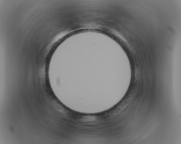 X0000113241315200910221052