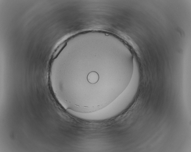 X0000113241316200910221052