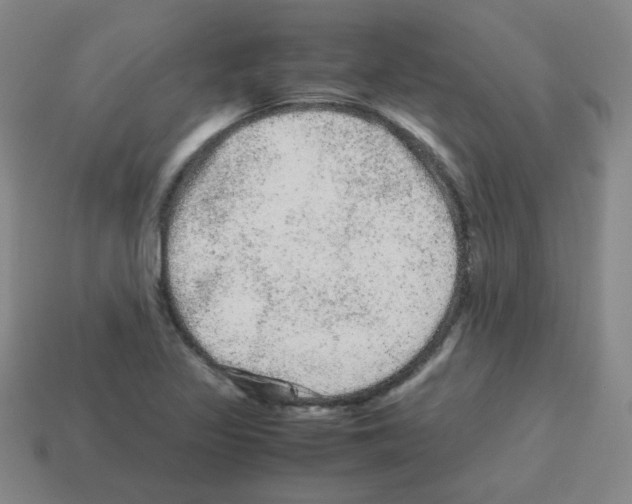 X0000113241317200910221052