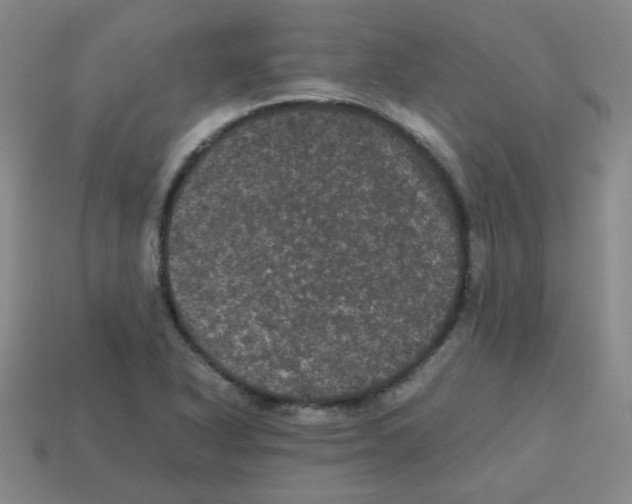 X0000113241318200910221052