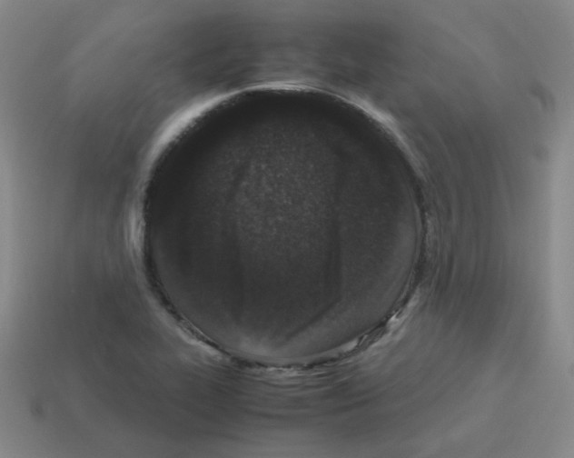 X0000113241319200910221052