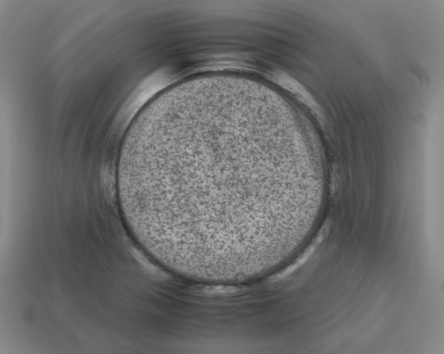 X0000113241321200910221052