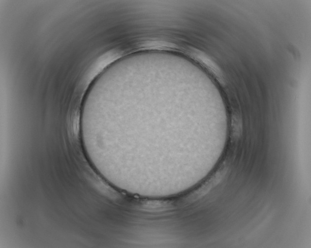 X0000113241322200910221052