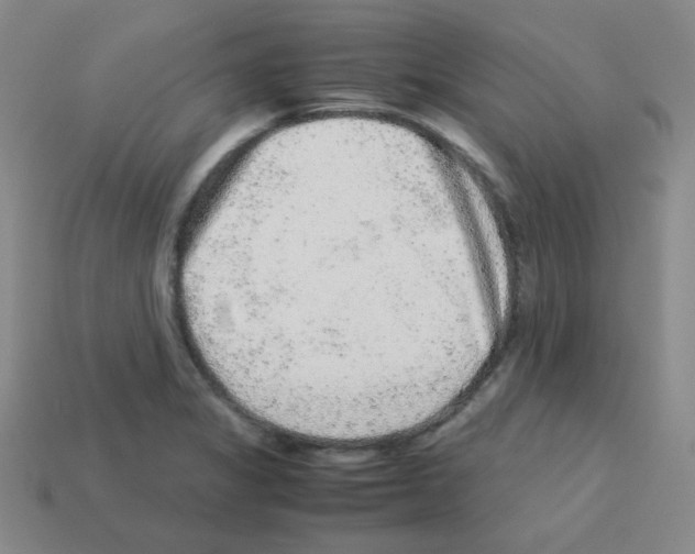 X0000113241325200910221052