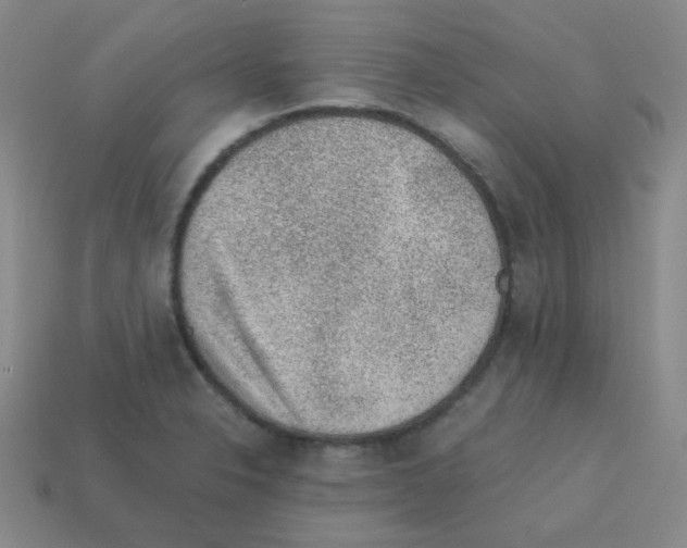 X0000113241326200910221052
