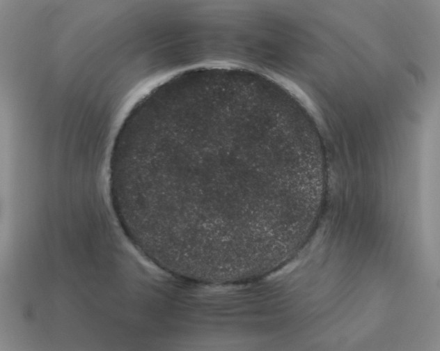 X0000113241327200910221052